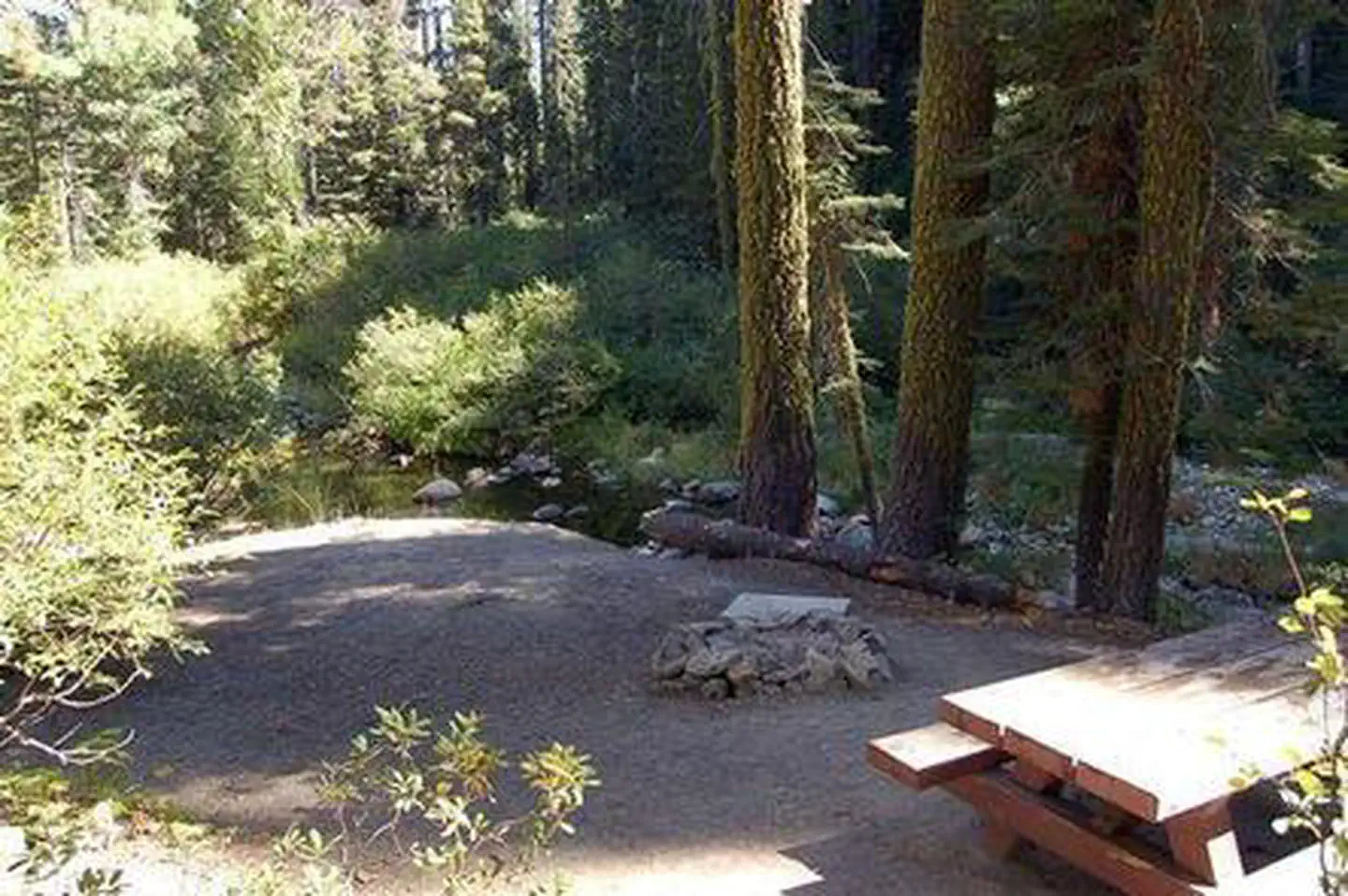 Sierra — Campsite along the north fork yuba river