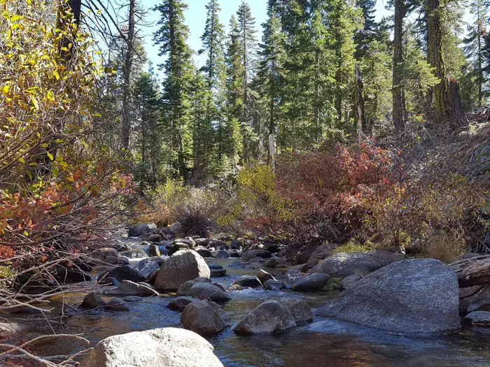 Sierra — North Fork Yuba River at Sierra campground