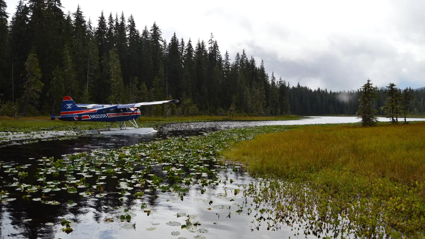 Peterson lake campground