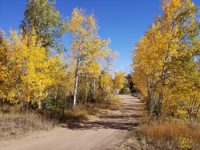 Tie City Campground — Tie City CG fall colors by site 9