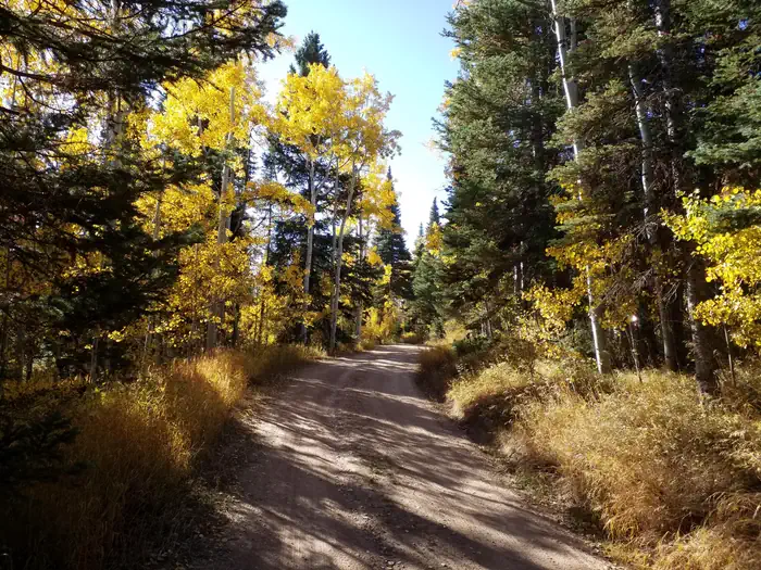 Tie City Campground — Tie City CG fall colors by site 2