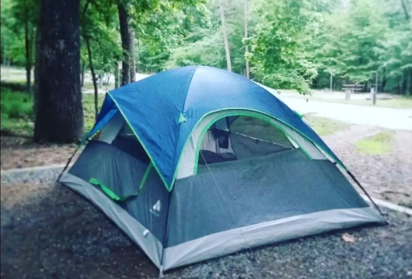 Charlton Campground — Charlton Campground - Tent Site