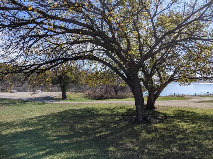 Curtis Creek — Curtis Creek Loop A