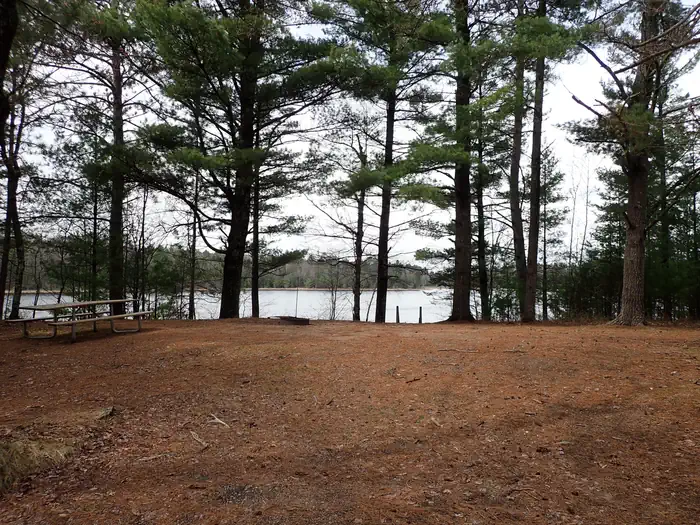 Emily Lake Recreation Area — Emily Lake Campground site 5