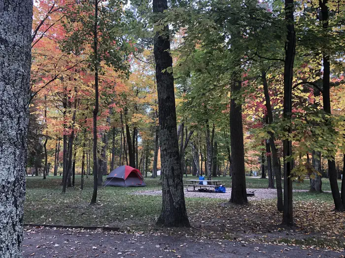 Winnie Dam Campground — Winnie Dam Campground Fall