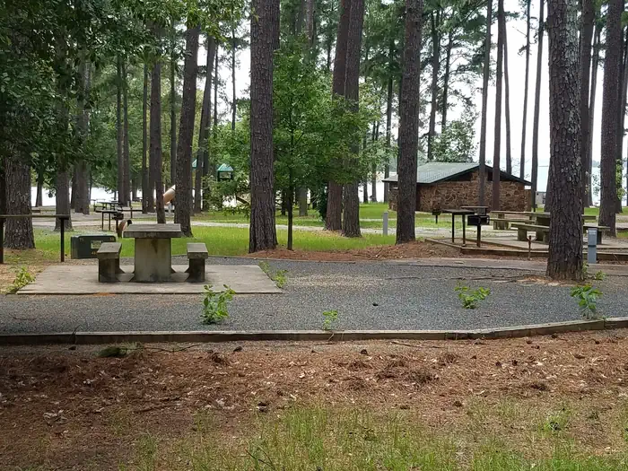 Piney Point — Campsite in Piney Point Park at Wright Patman Lake