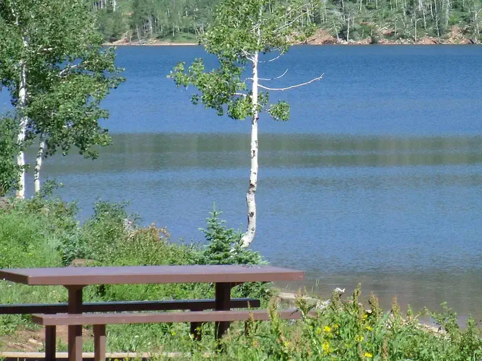 Spruces Campground (Dixie NF) — campsite overlooking the lake