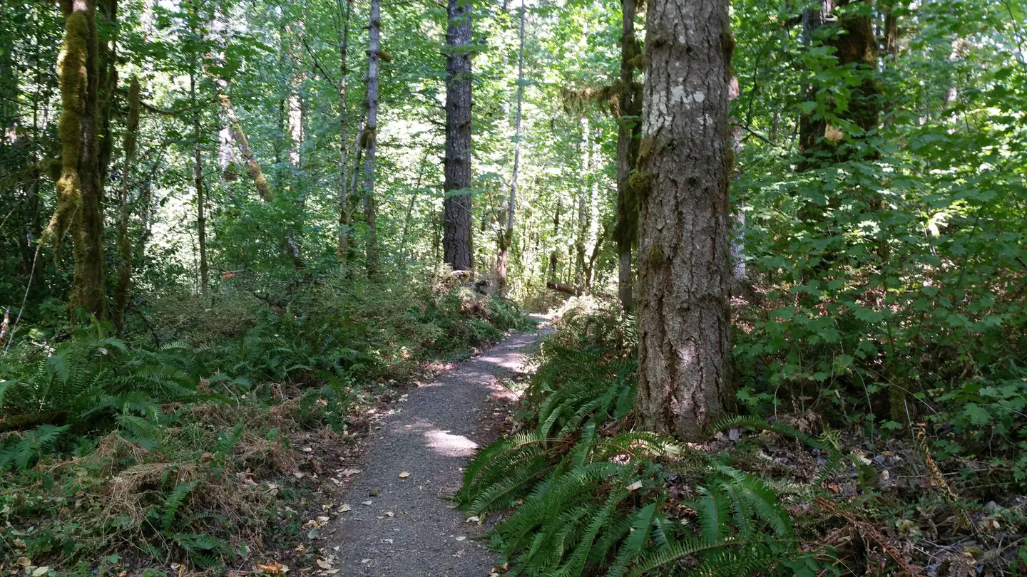 Fishermens Bend — trail at Fishermen's Bend