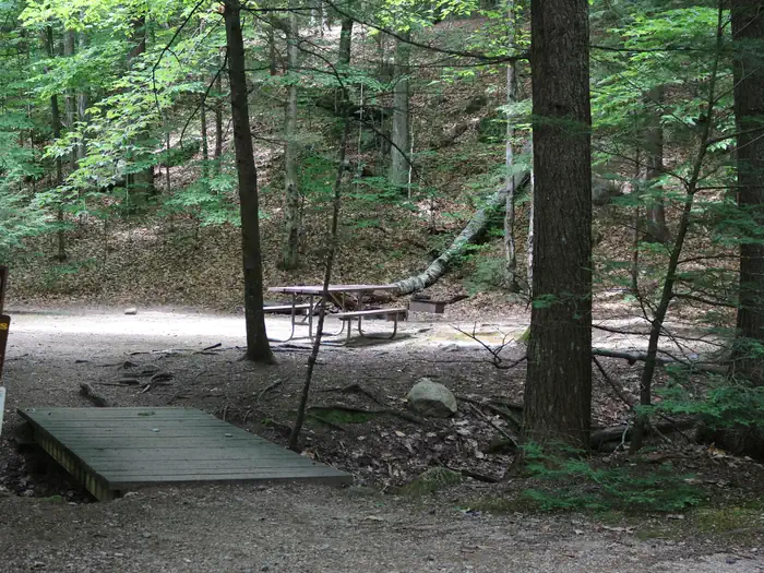White Ledge Campground — White Ledge Campsite