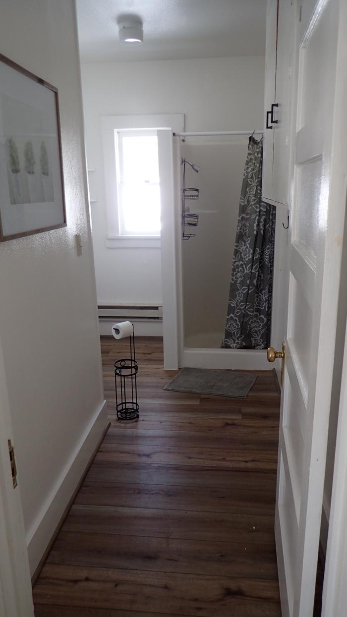 Meyers Creek Cabin — Bathroom entrance and shower