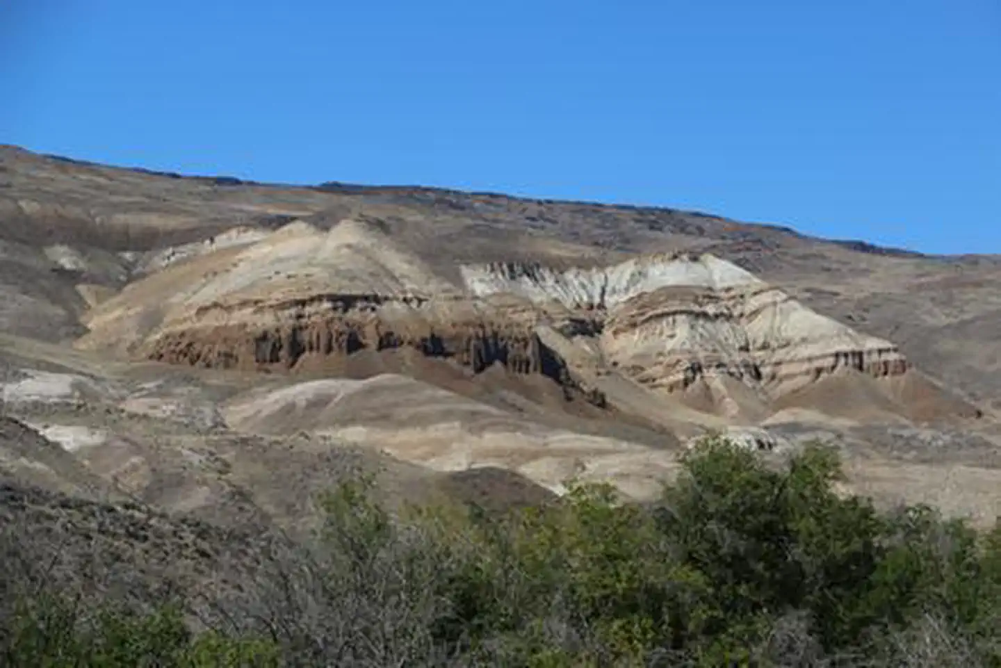 Birch Creek Historic Ranch — Birch Creek Ranch