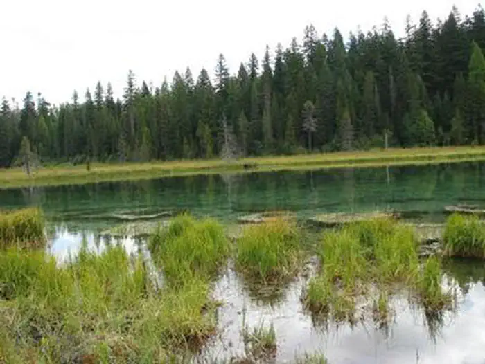 Clackamas Lake — CLACKAMAS LAKE