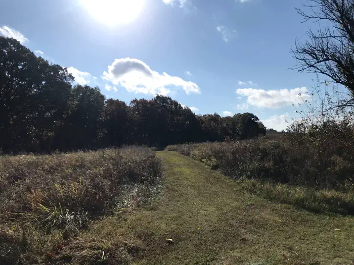 Spencer Creek — Spencer Creek Hiking Trail