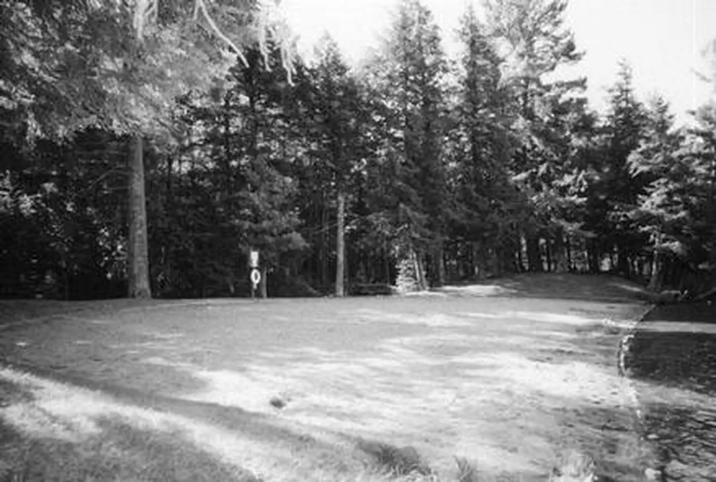 Laura Lake Recreation Area — LAURA LAKE CAMPGROUND