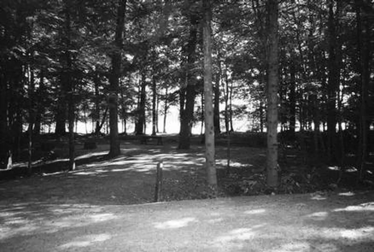 Laura Lake Recreation Area — LAURA LAKE CAMPGROUND