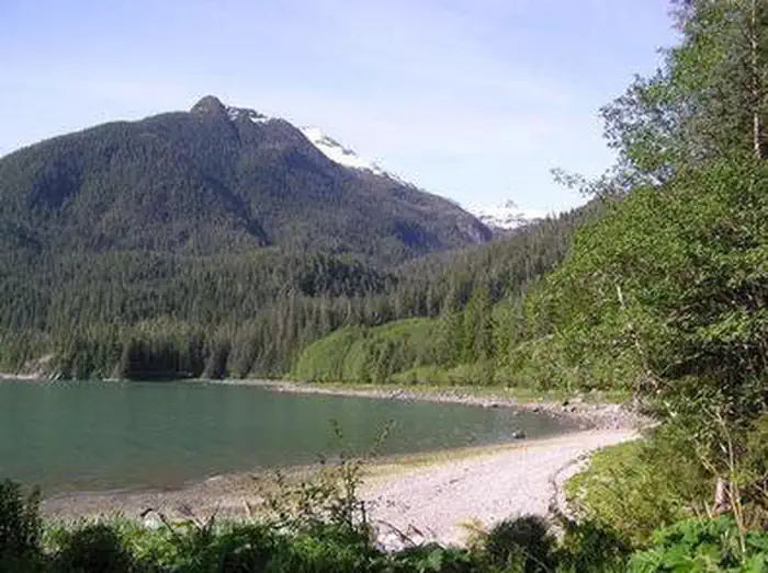 Cascade Creek Cabin — CASCADE CREEK CABIN2