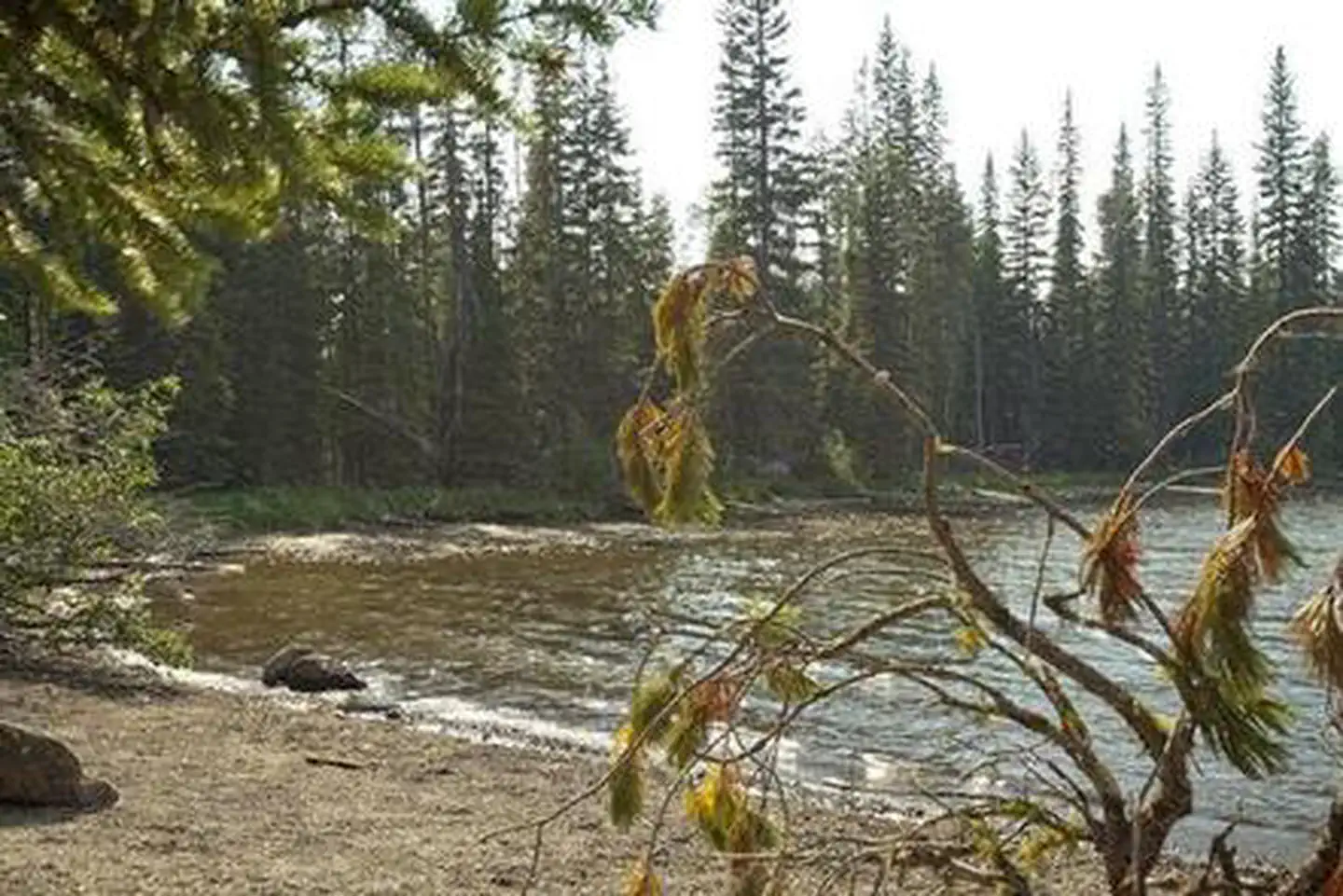 Little Cultus Campground — LITTLE CULTUS CAMPGROUND