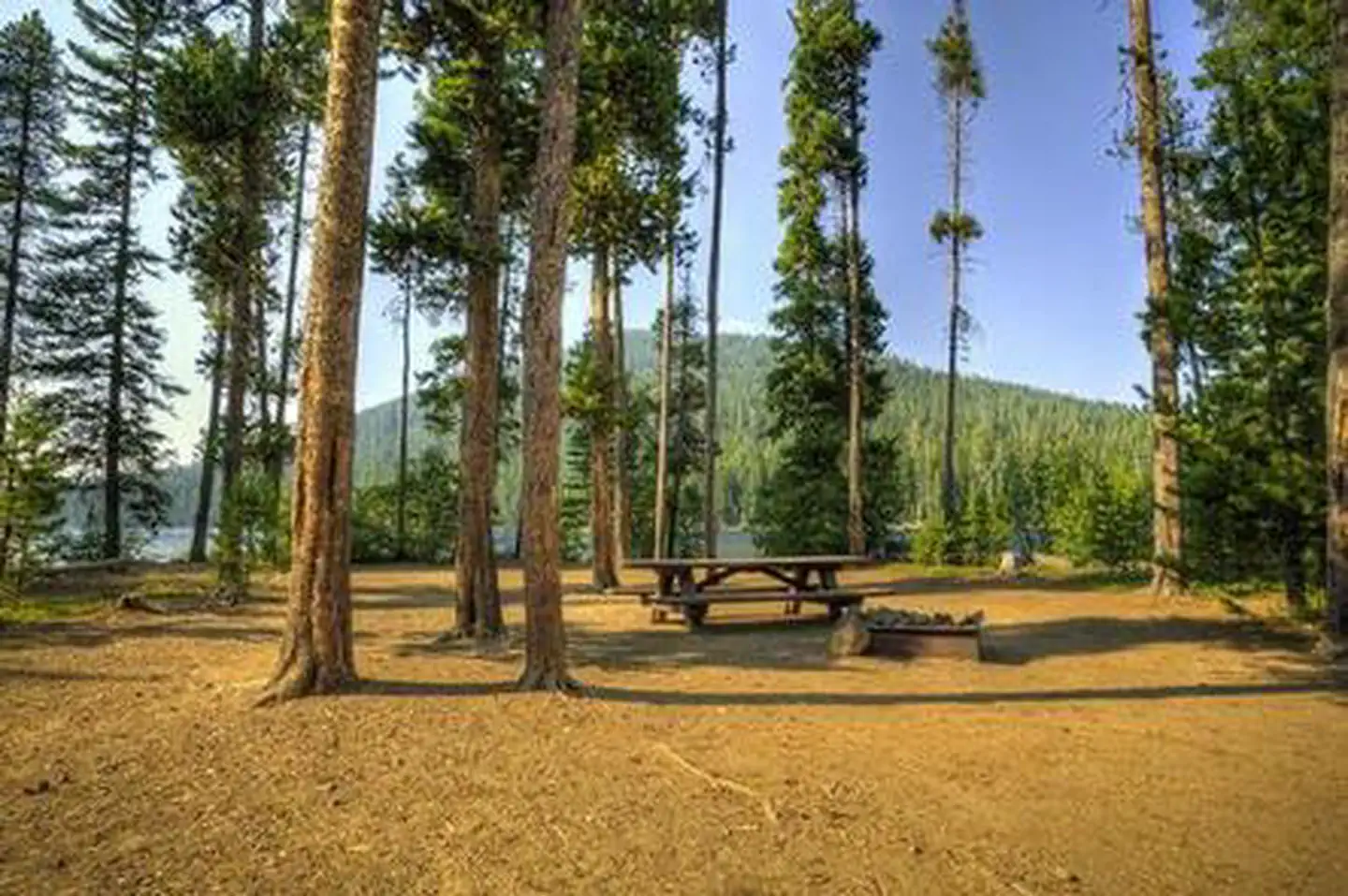 Little Cultus Campground — LITTLE CULTUS CAMPGROUND