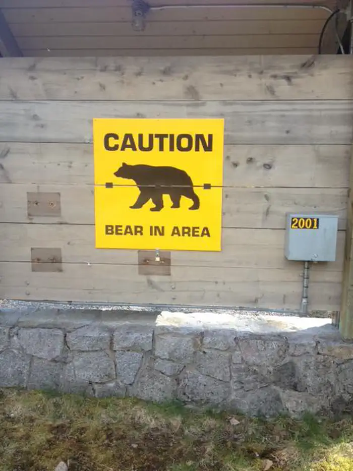 Mendenhall Lake Campground — Bear Aware
