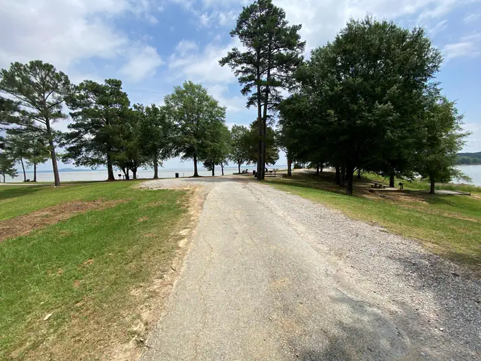 Eagle Point Primitive Campground — Eagle Point Campground View