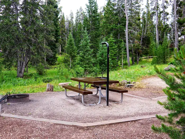 North Tongue — Campsite in North Tongue Campground