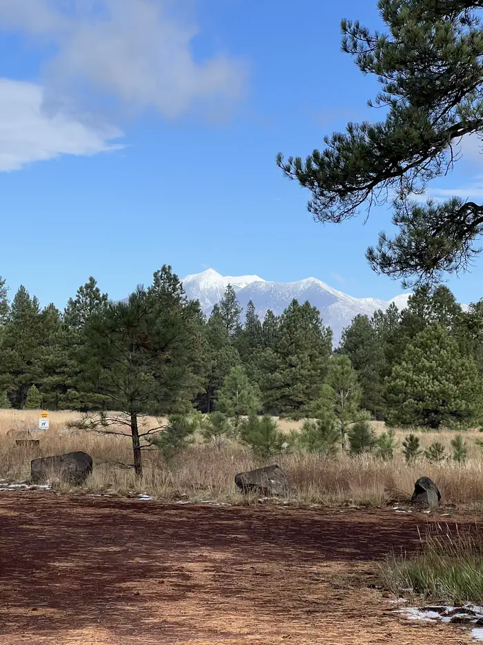 Canyon Vista Campground — A photo of facility Canyon Vista with Picnic Table, Fire Pit