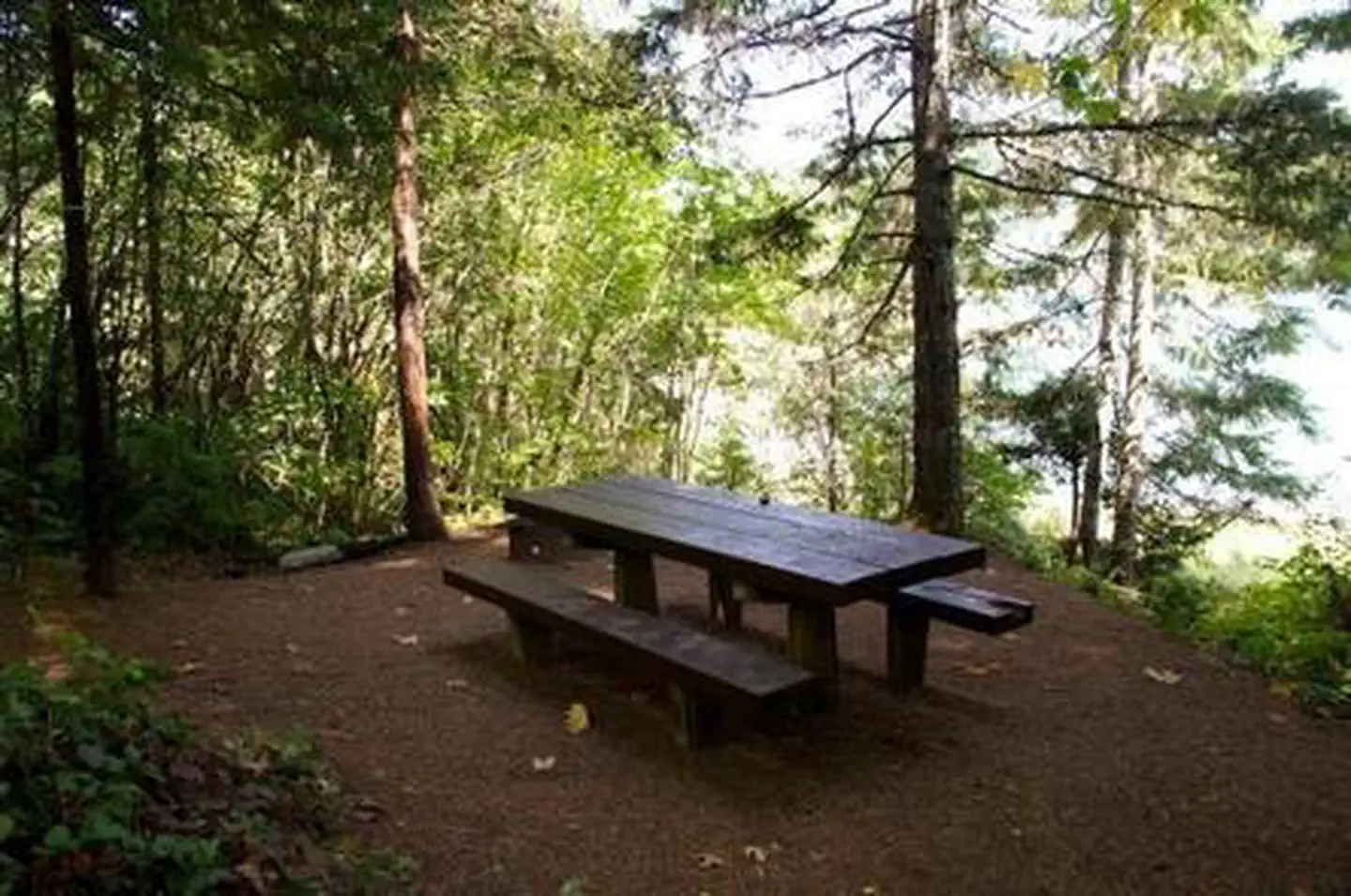 Packard Creek Day Use Area — PACKARD CREEK