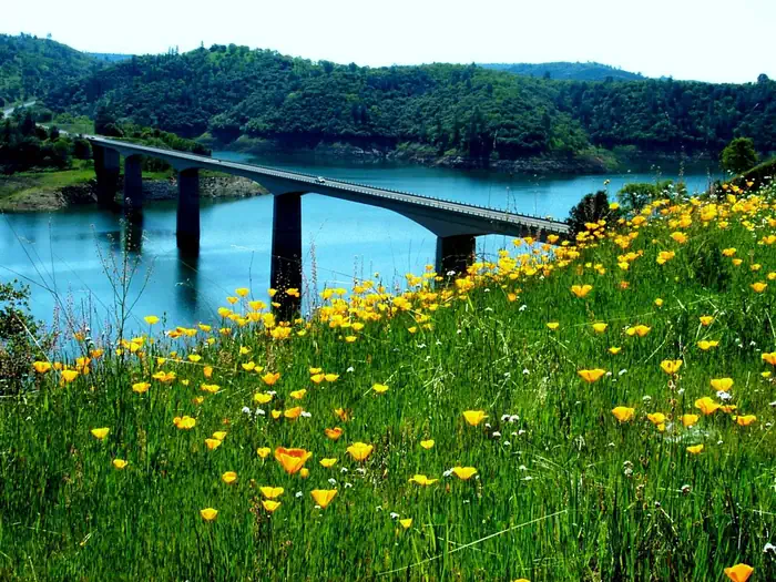 Tuttletown Recreation Area — TUTTLETOWN RECREATION AREA 9