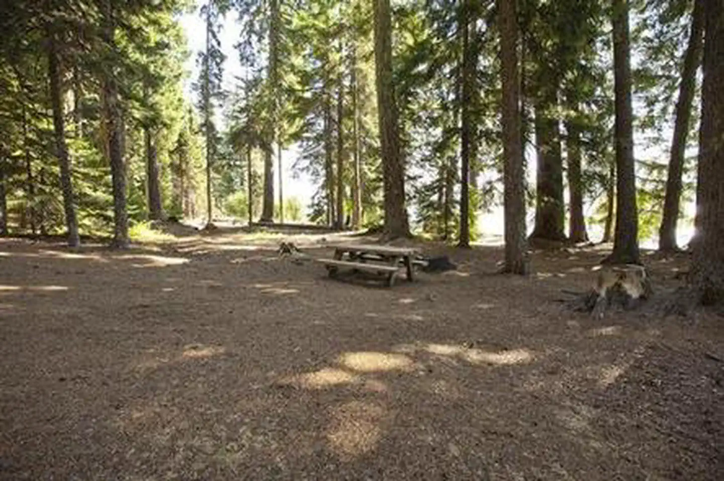 Princess Creek Campground — PRINCESS CREEK CAMPGROUND