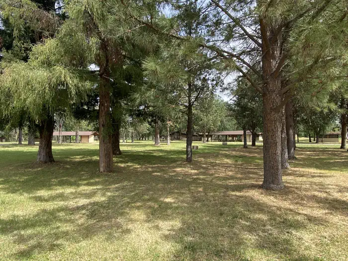 Camp Discovery Group Campground — Plentiful shade in the campground