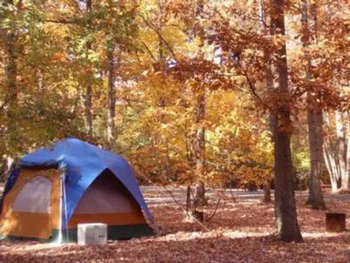 Greenbelt Park Campground