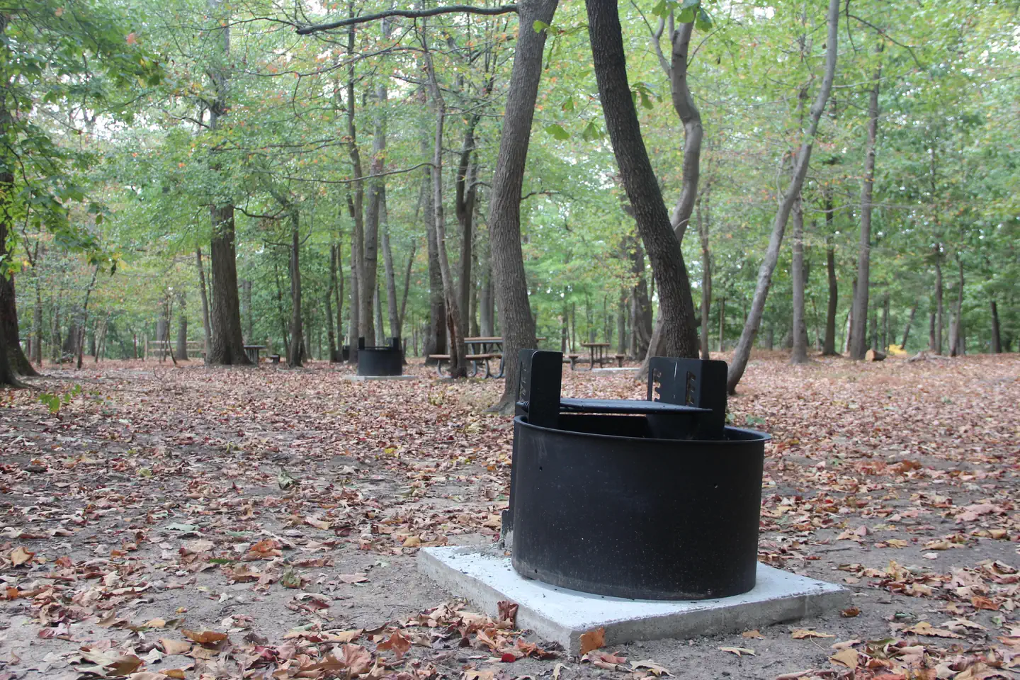 Greenbelt Park Campground — The new grills located on each site at Greenbelt Park campground
