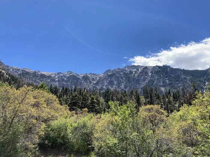 Amphitheater Campground