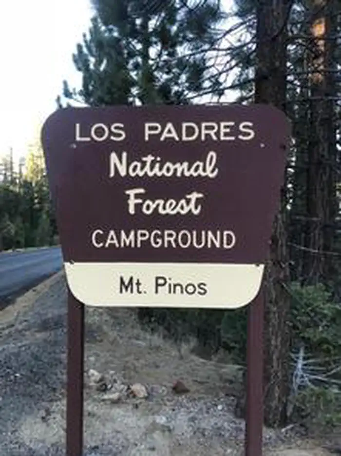 Mt. Pinos Campground — MT. PINOS CAMPGROUND