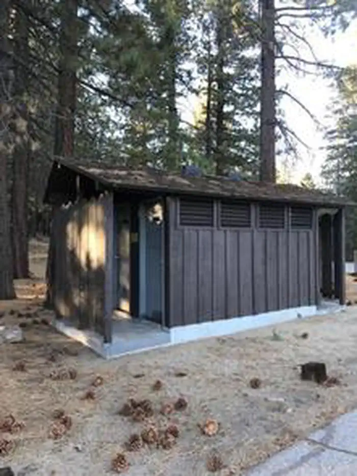 Mt. Pinos Campground — MT. PINOS CAMPGROUND