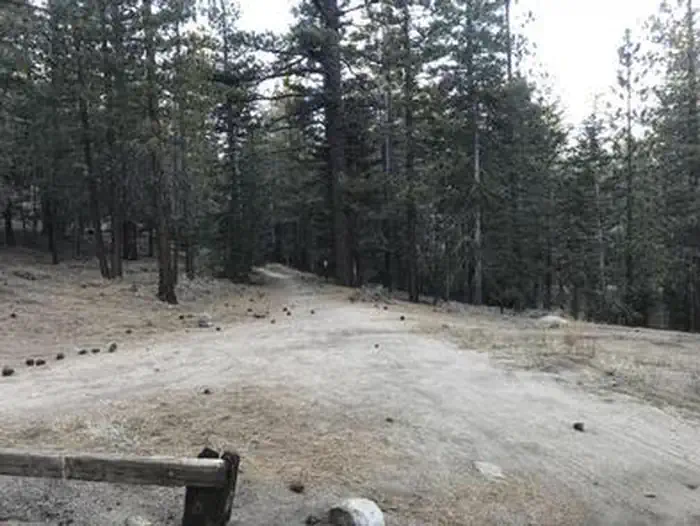 Mt. Pinos Campground — MT. PINOS CAMPGROUND