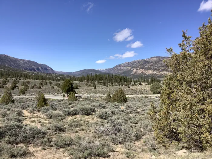 Joes Valley Campground — A photo of facility JOES VALLEY RESERVOIR with No Amenities Shown