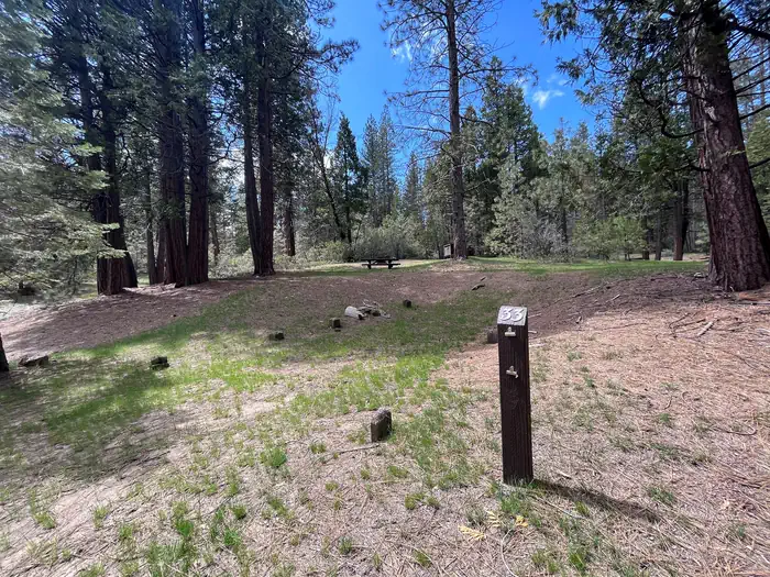 Hume Lake — Site 33