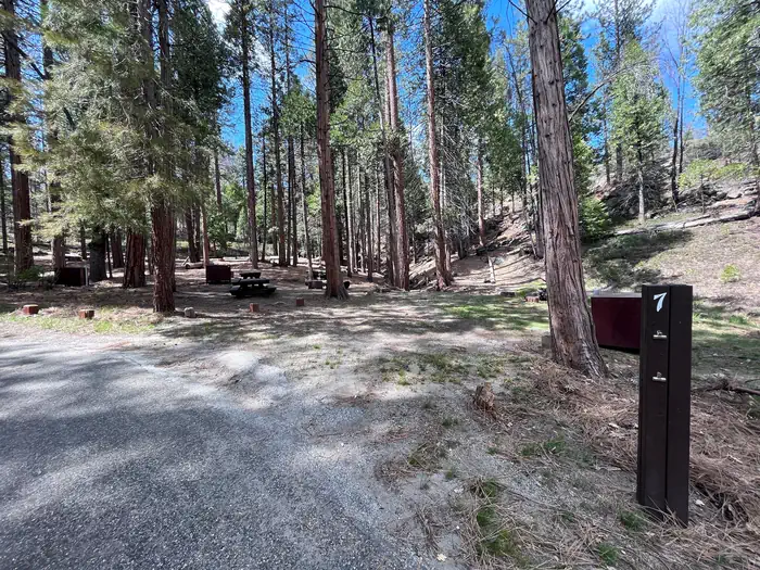 Hume Lake — Site 7
