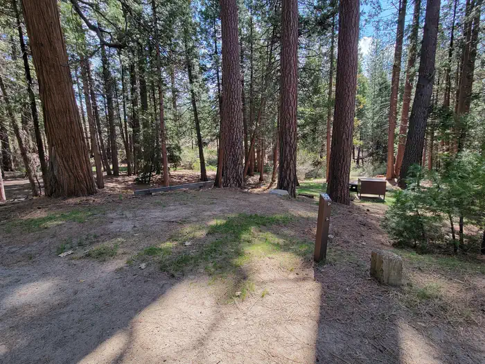 Hume Lake — Site 35