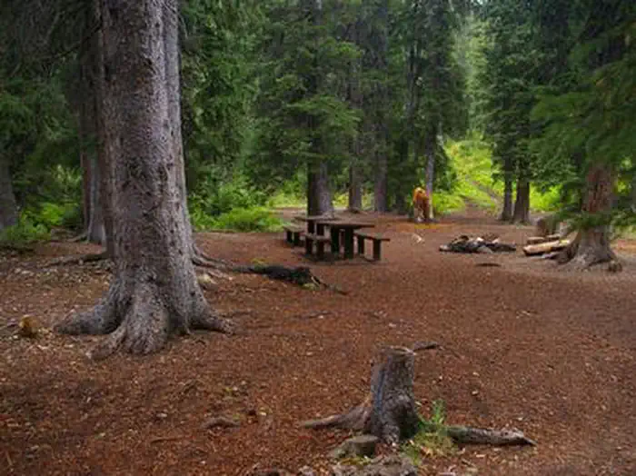 Cottonwood Group Campsite — COTTONWOOD GROUP CAMPSITE