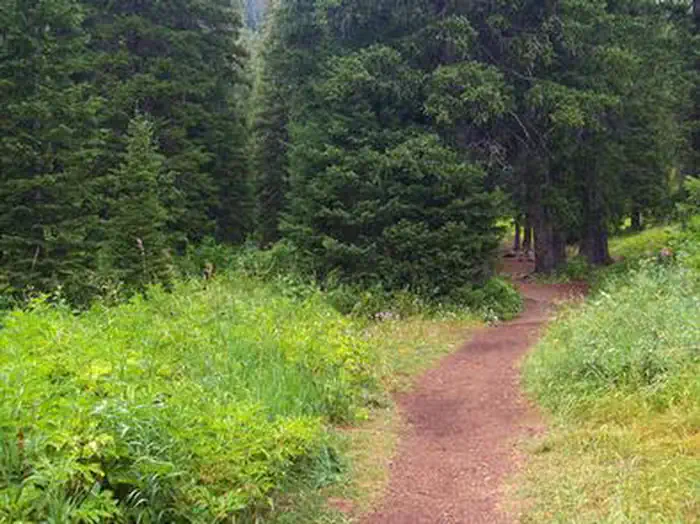 Cottonwood Group Campsite — COTTONWOOD GROUP CAMPSITE