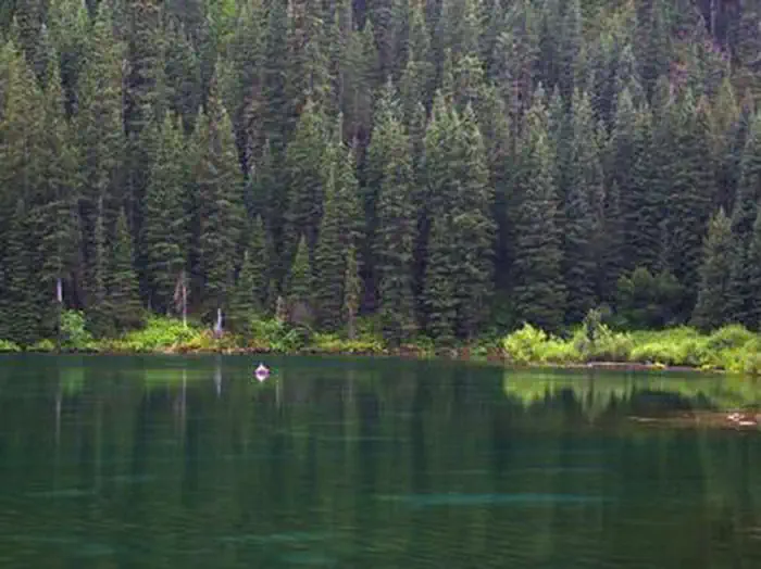 Cottonwood Group Campsite — COTTONWOOD GROUP CAMPSITE