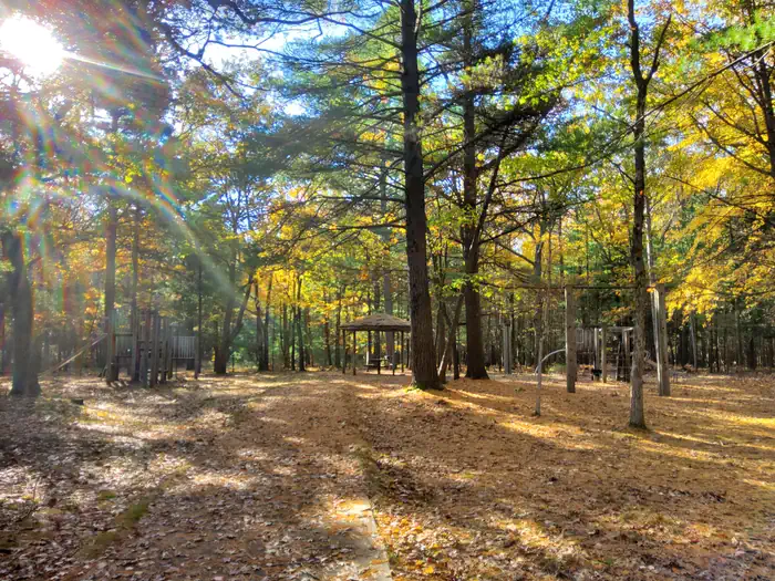 Lake Michigan Recreation Area — Playground