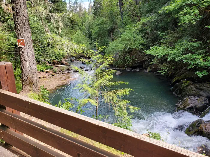 Cavitt Creek Falls — Above the swimming hole