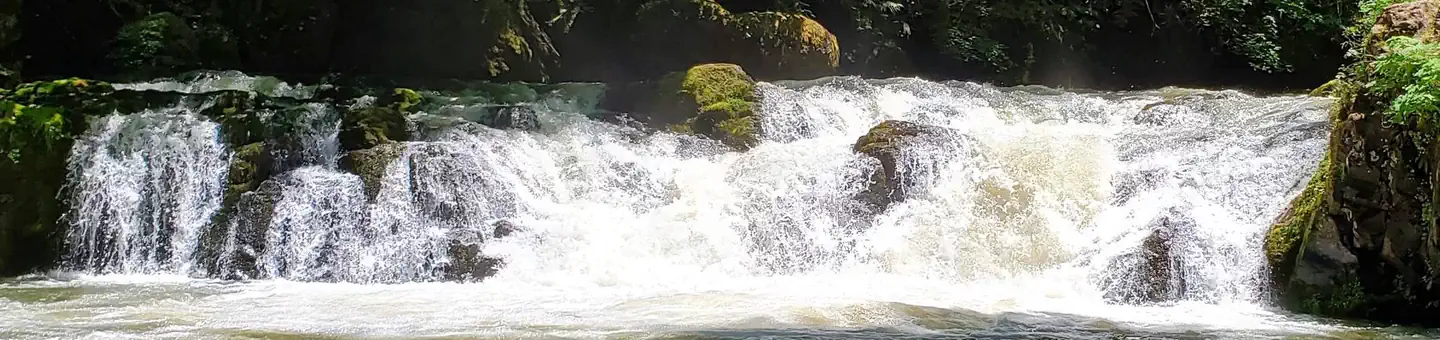 Cavitt Creek Falls
