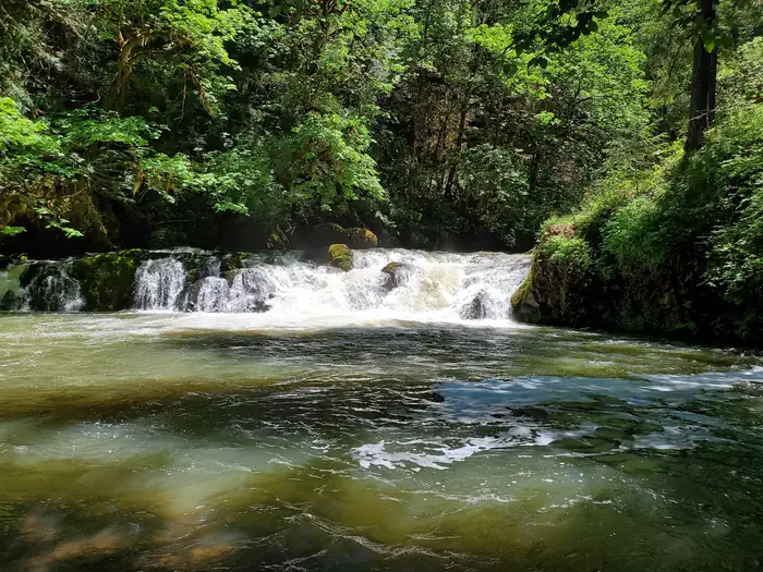 Cavitt Creek Falls — Swimming Area