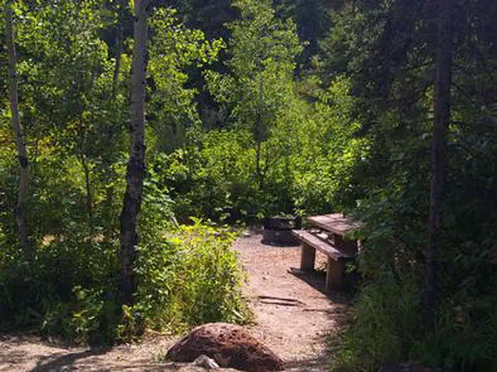 Paris Springs Campground — PARIS SPRINGS CAMPGROUND