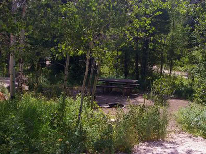 Paris Springs Campground — PARIS SPRINGS CAMPGROUND