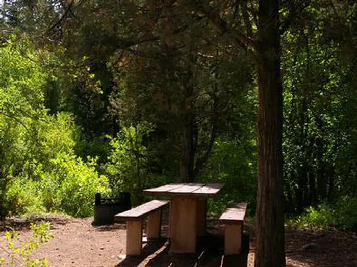 Paris Springs Campground — PARIS SPRINGS CAMPGROUND
